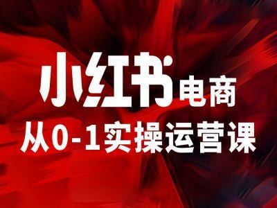 小红书电商从0-1实操运营课，让你从小白到精英-阿良资源网