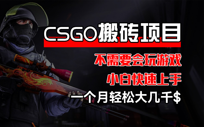 （12332期）CSGO 装备搬砖项目，操作简单，不需要会玩游戏，小白也能快速上手，一…-阿良资源网