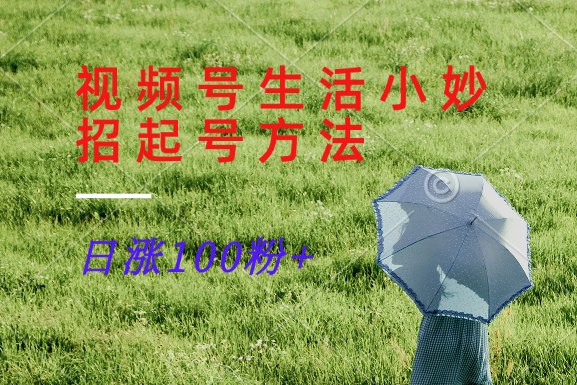 视频号生活小妙招分享赛道， 起号涨粉新方法，日涨100粉-阿良资源网