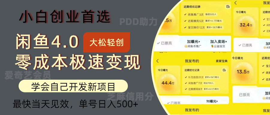 （12434期）闲鱼0成本极速变现项目，多种变现方式 单号日入500+最新玩法-阿良资源网