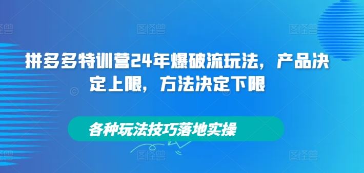 拼多多特训营24年爆破流玩法，产品决定上限，方法决定下限，各种玩法技巧落地实操-阿良资源网
