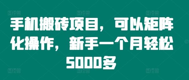 手机搬砖项目，可以矩阵化操作，新手一个月轻松5000多-阿良资源网