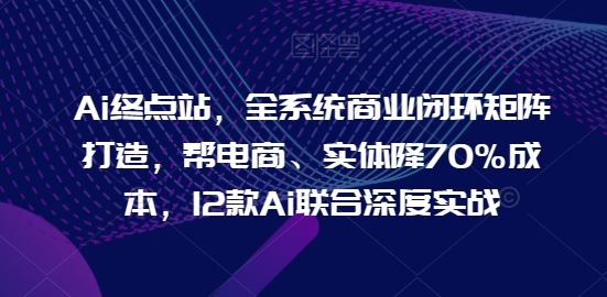 Ai终点站，全系统商业闭环矩阵打造，帮电商、实体降70%成本，12款Ai联合深度实战【0906更新】-阿良资源网