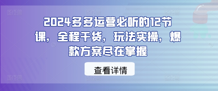 2024多多运营必听的12节课，全程干货，玩法实操，爆款方案尽在掌握-阿良资源网