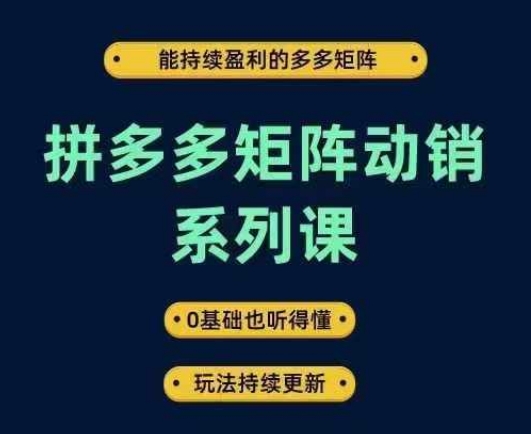 拼多多矩阵动销系列课，能持续盈利的多多矩阵，0基础也听得懂，玩法持续更新-阿良资源网