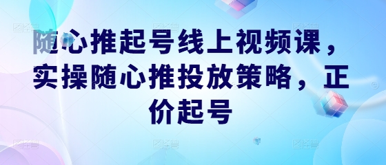 随心推起号线上视频课，实操随心推投放策略，正价起号-阿良资源网