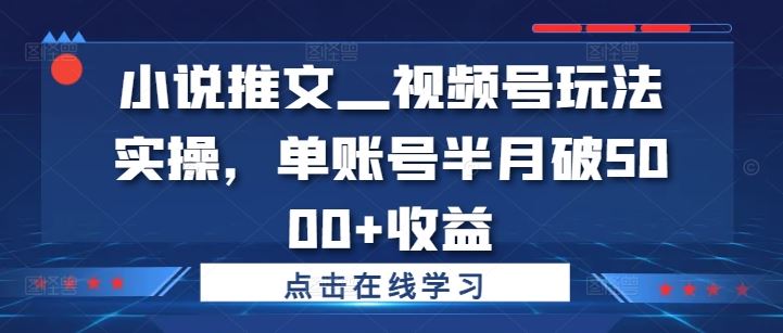 小说推文—视频号玩法实操，单账号半月破5000+收益-阿良资源网